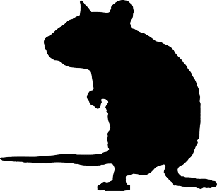 Viluna Pest Control